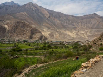 Lush fields with the dry hills of Jomsom in the background
